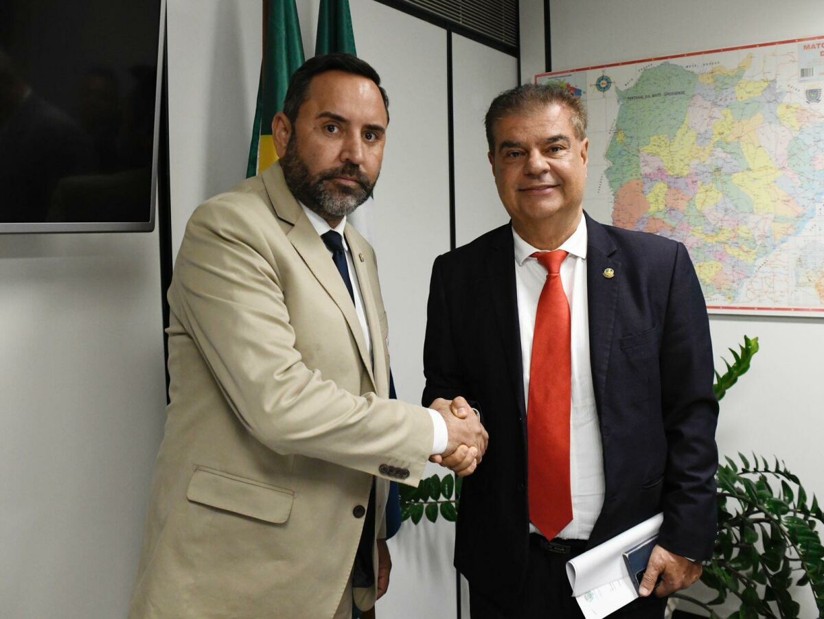 Imagem da Galeria